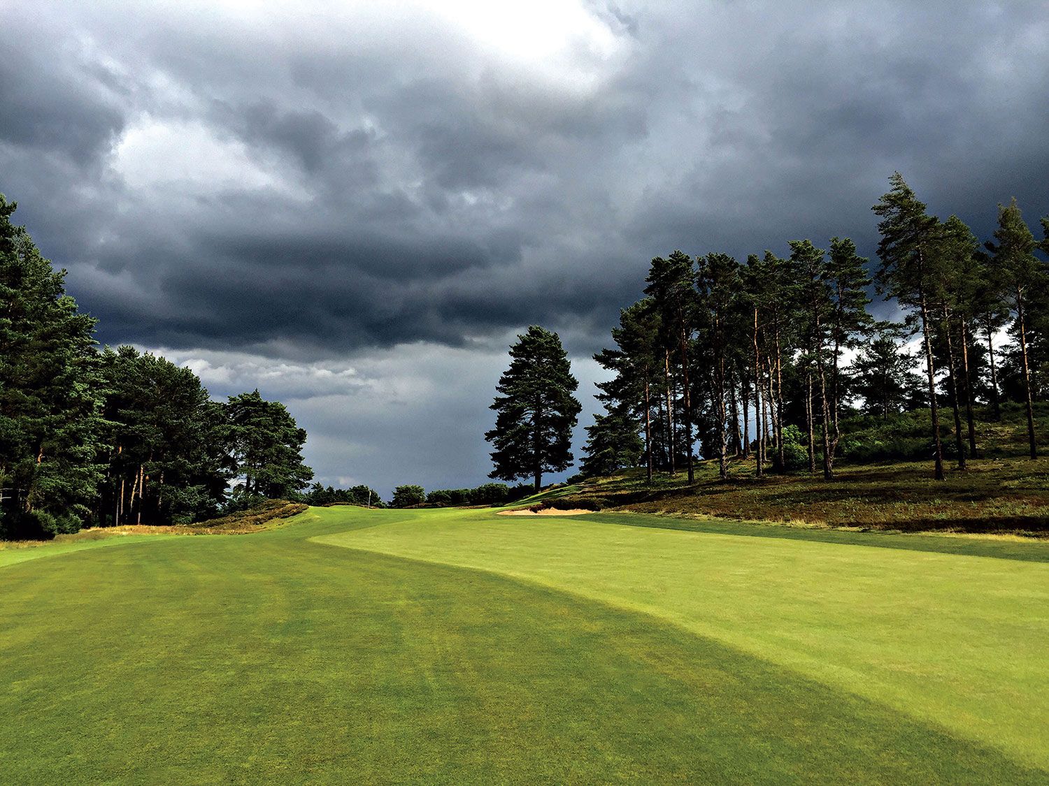 Sunningdale-New-hole-12-low-res