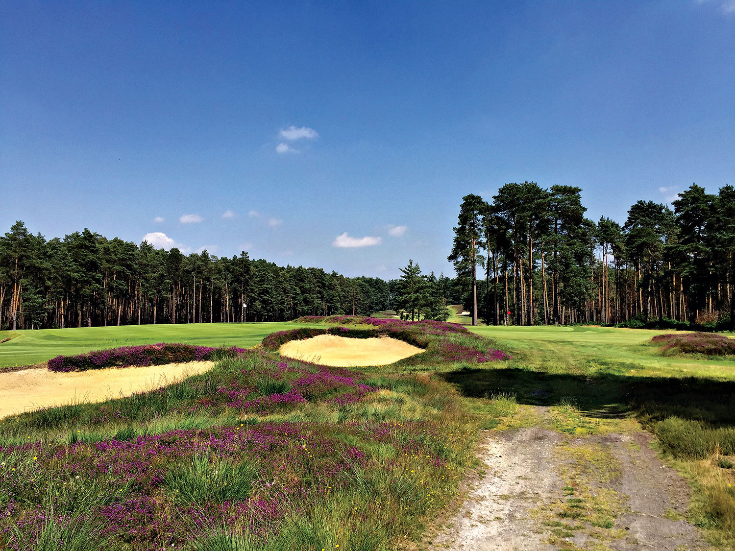 Swinley-Forest-holes-11-and-14-low-res