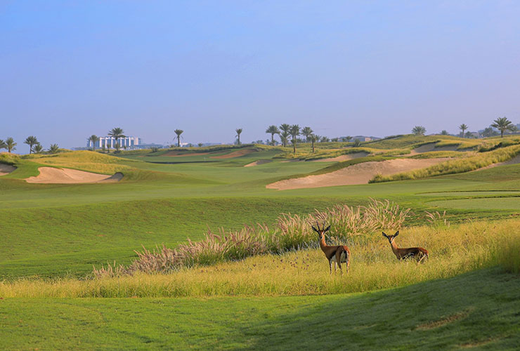 Winner of Abu Dhabi Amateur Championship will automatically qualify for 2023 Abu Dhabi HSBC Championship