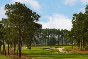 Pinehurst No. 2, site of this year's U.S. Open, is ranked No. 29 on America's 100 Greatest Golf Courses. The USGA says it wants to make the course play as the fairest, most substantial version of itself - Stephen Denton